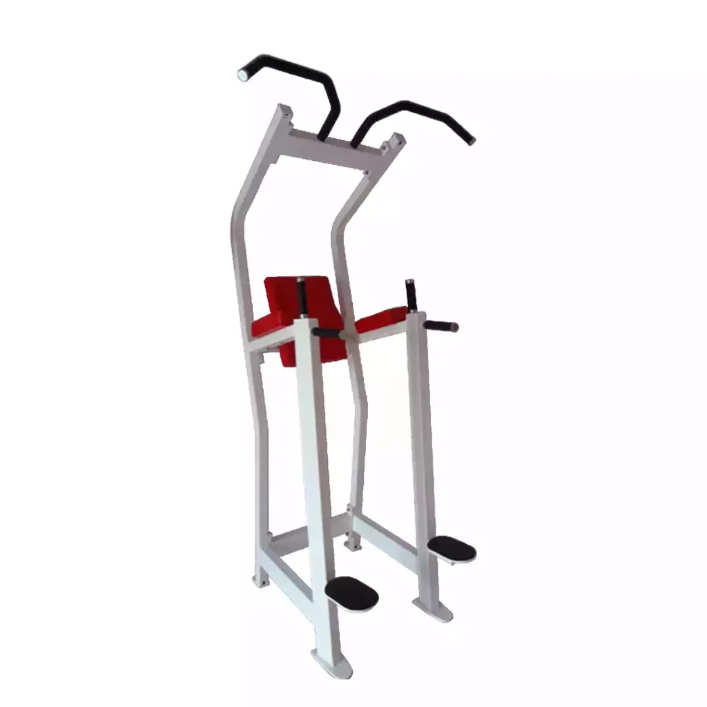 Vertical Knee Raise With Chin Up